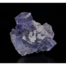 Fluorite and Sphalerite La Viesca M03373